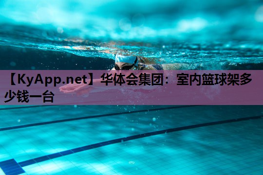 室内篮球架多少钱一台