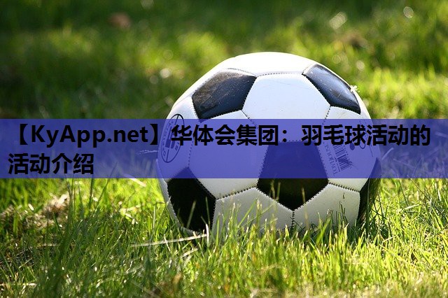 羽毛球活动的活动介绍