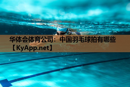 中国羽毛球拍有哪些